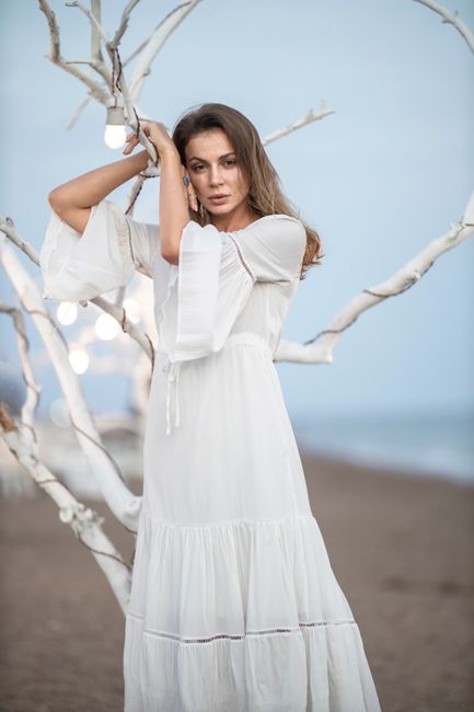 Embroidered Chiffon Maxi